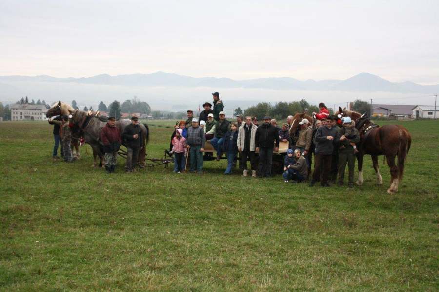Výkonnostné skúšky chladnokrvník