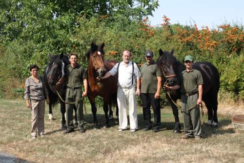 ekipa_norik_muransky