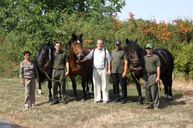 ekipa_norik_muransky