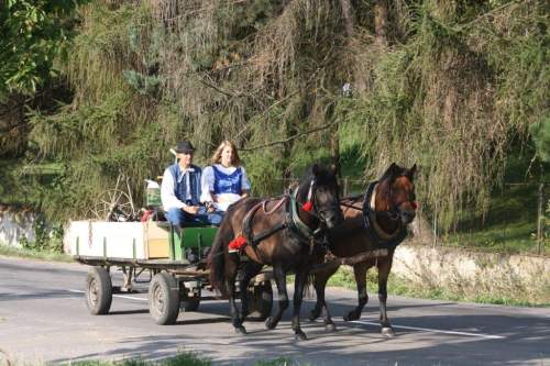 SlavnostnynastupAPuvak