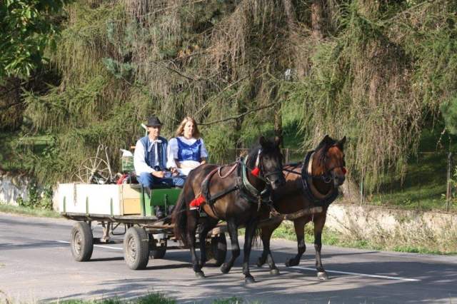 SlavnostnynastupAPuvak