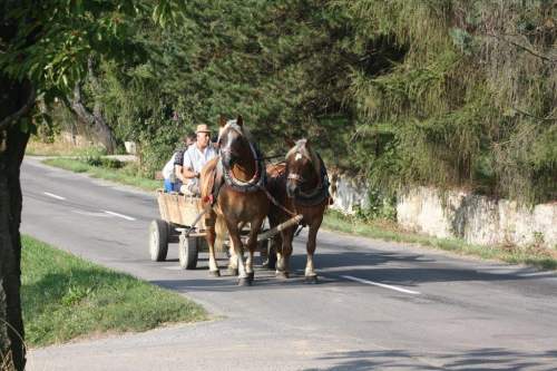 SlavnostnynastupJHalas