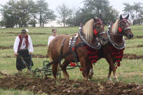 Najkrajsia_para_Anoxa-Lena