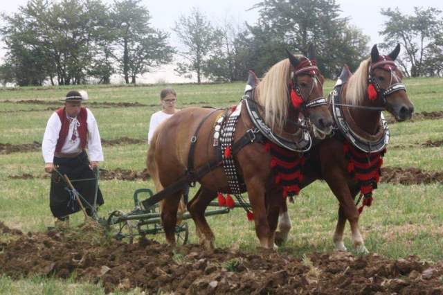 Najkrajsia_para_Anoxa-Lena