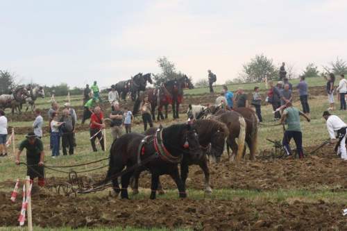 Orba_spolocne_foto_pri_praci