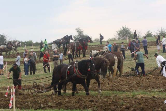 Orba_spolocne_foto_pri_praci