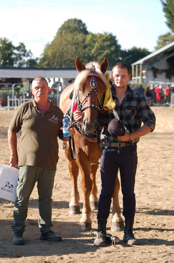 Agrokomplex-Deň_koní