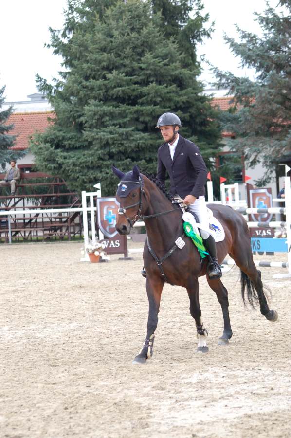 SMK_KMK_Trenčín_5-ročné_kone