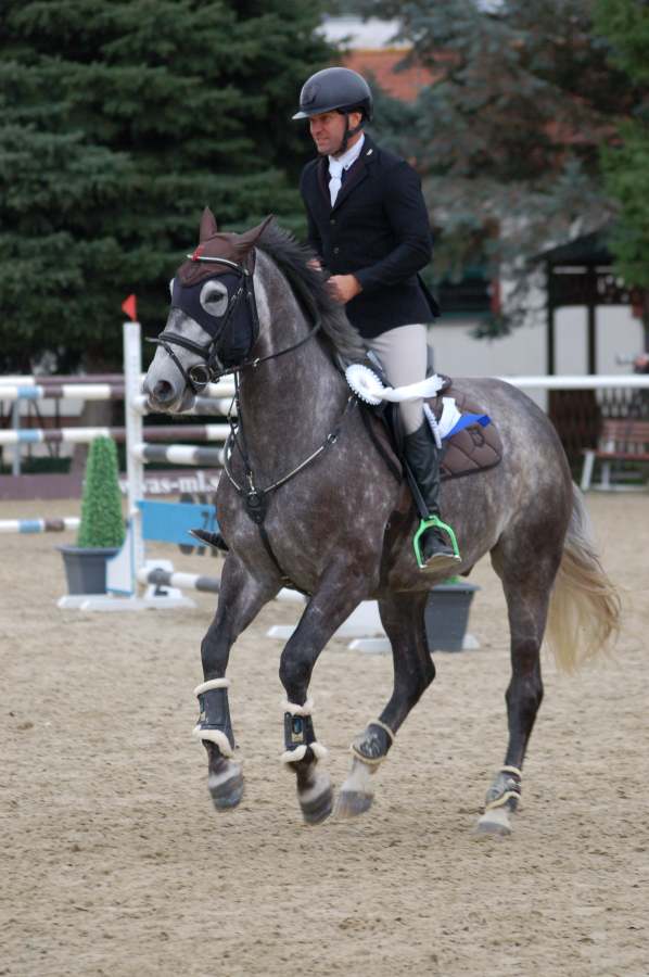 SMK_KMK_Trenčín_6-7-ročné_kone