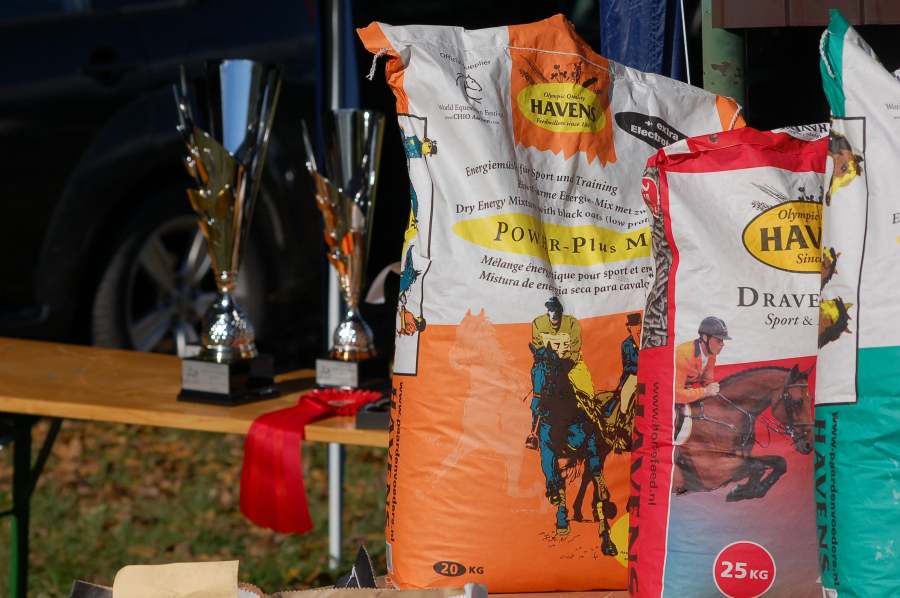 Spoločné furmanské majstrovstvá SR a ČR – NŽ Topoľčianky-Práca s drevom