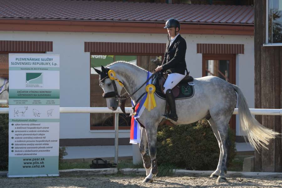 Šampionát mladých koní -  finále KMK