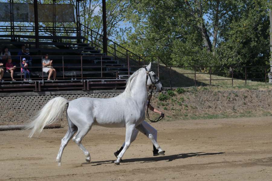 Agrokomplex Nitra