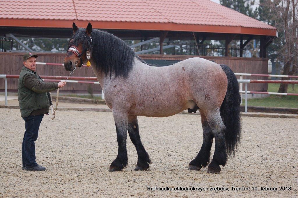 Tomek