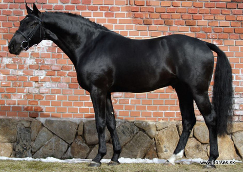 Lukrécia de la Bryére