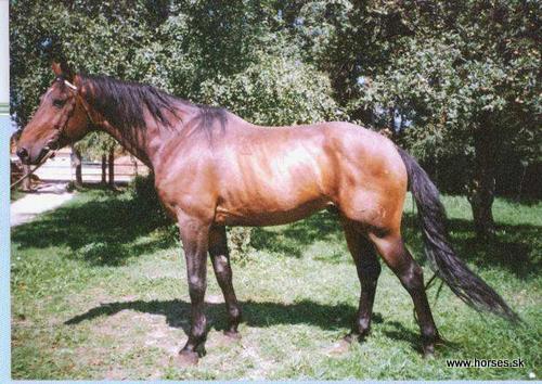 Valley Spring Lass/Fiona