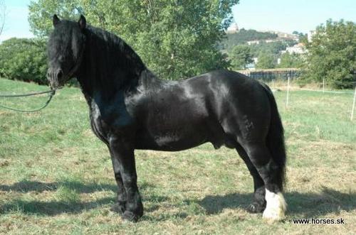 Tischler Vulkan I Gorej