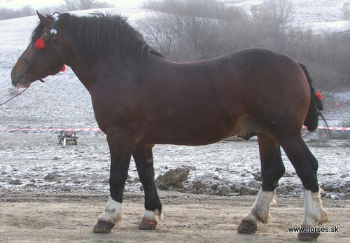 Catalin IX-9  Chacha