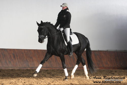 Sirocco-50