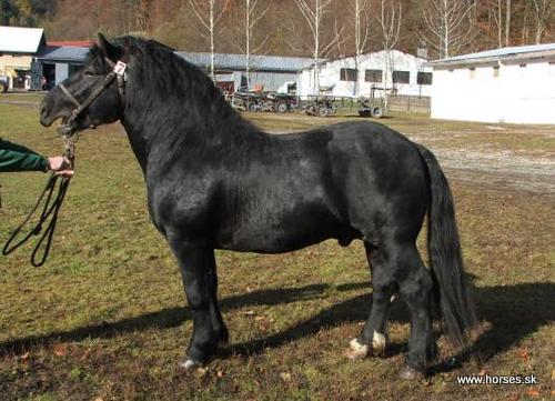Quoniam I-1