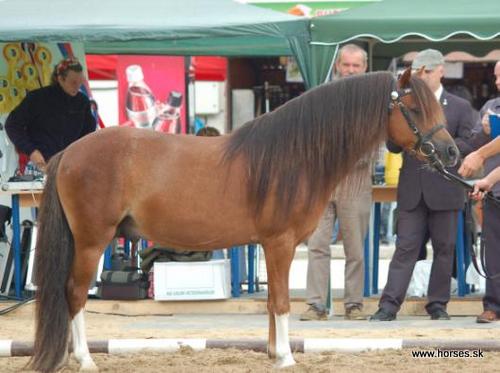 Furioso XXVII-18/Snežienka/