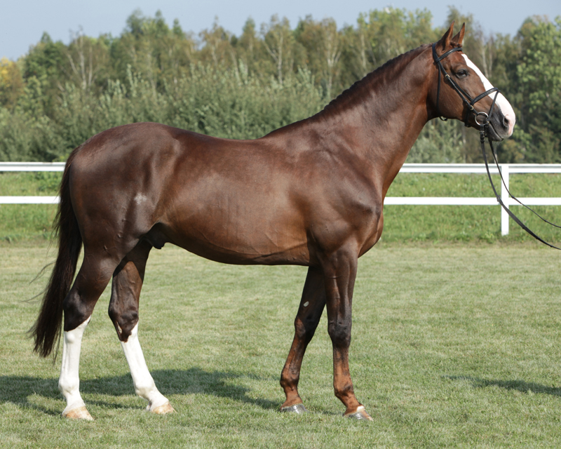 Oušor II/Mirko Oušor 24/