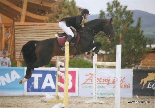 Sting In Her Tail (IRE)