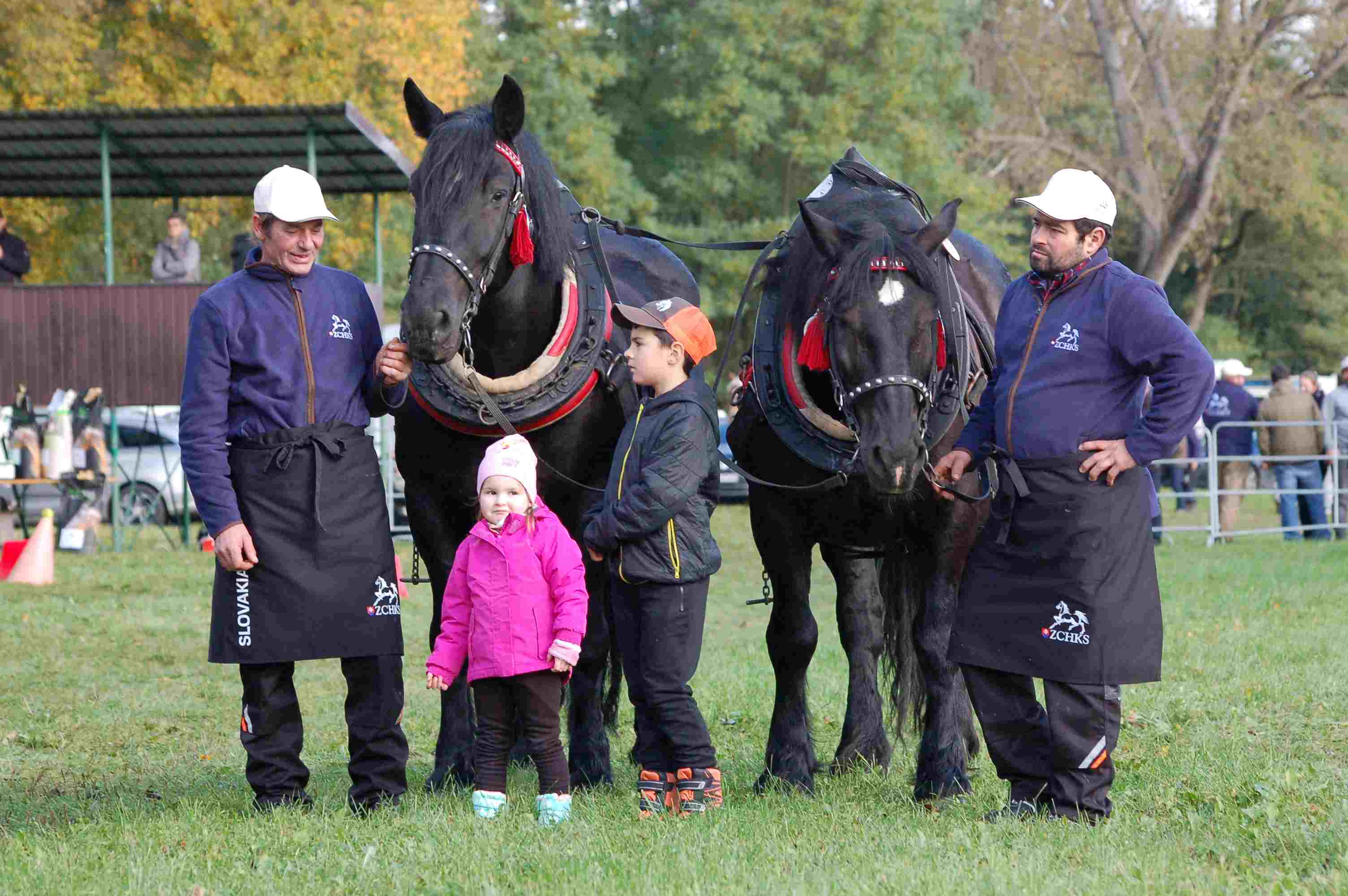 Blaško Pavol,Hričovské Podhradie 111,013 41 Dolný Hričov