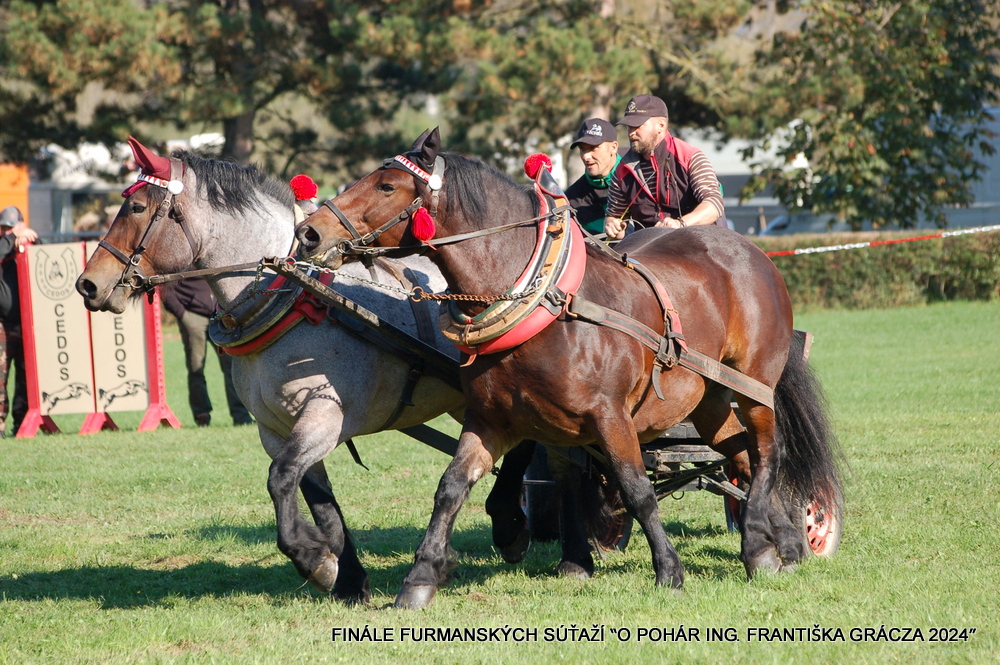 Dornák Vlastimil, Kamenné 1058/20, 907 01 Myjava