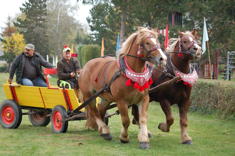 Roman Štefan, Slatina nad Bebravou 113, 956 53 Slatina nad B