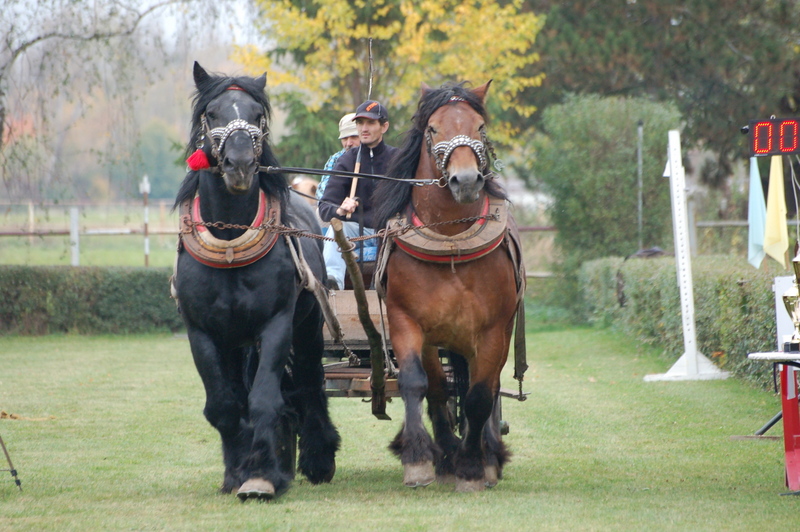 Francisty Ján, SHR, Líška 1513, 963 01 Krupina