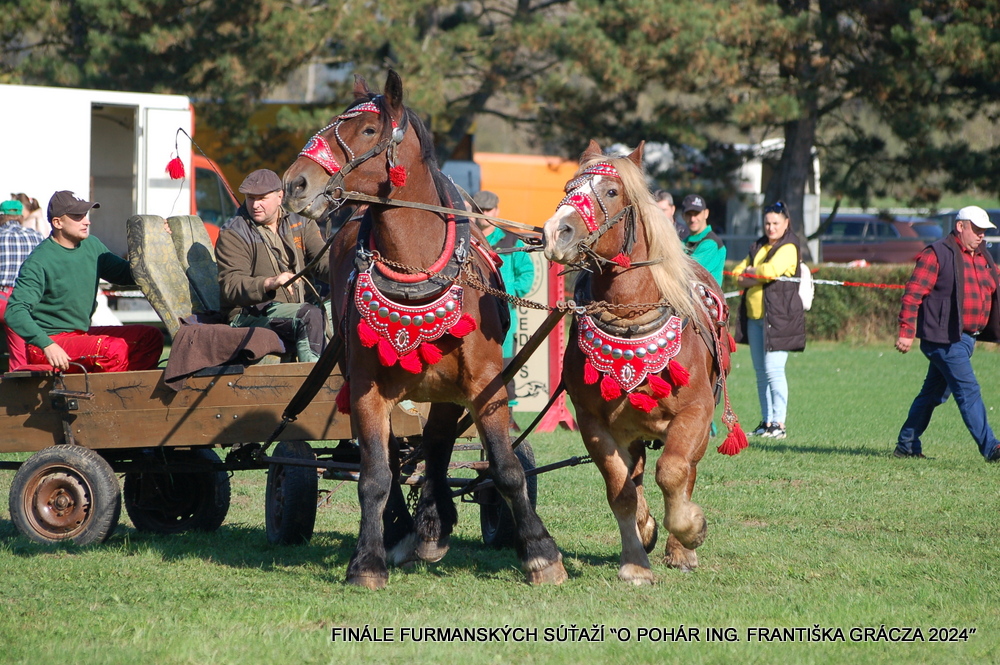 Kitaš Pavol, Golianovo 149, 951 08