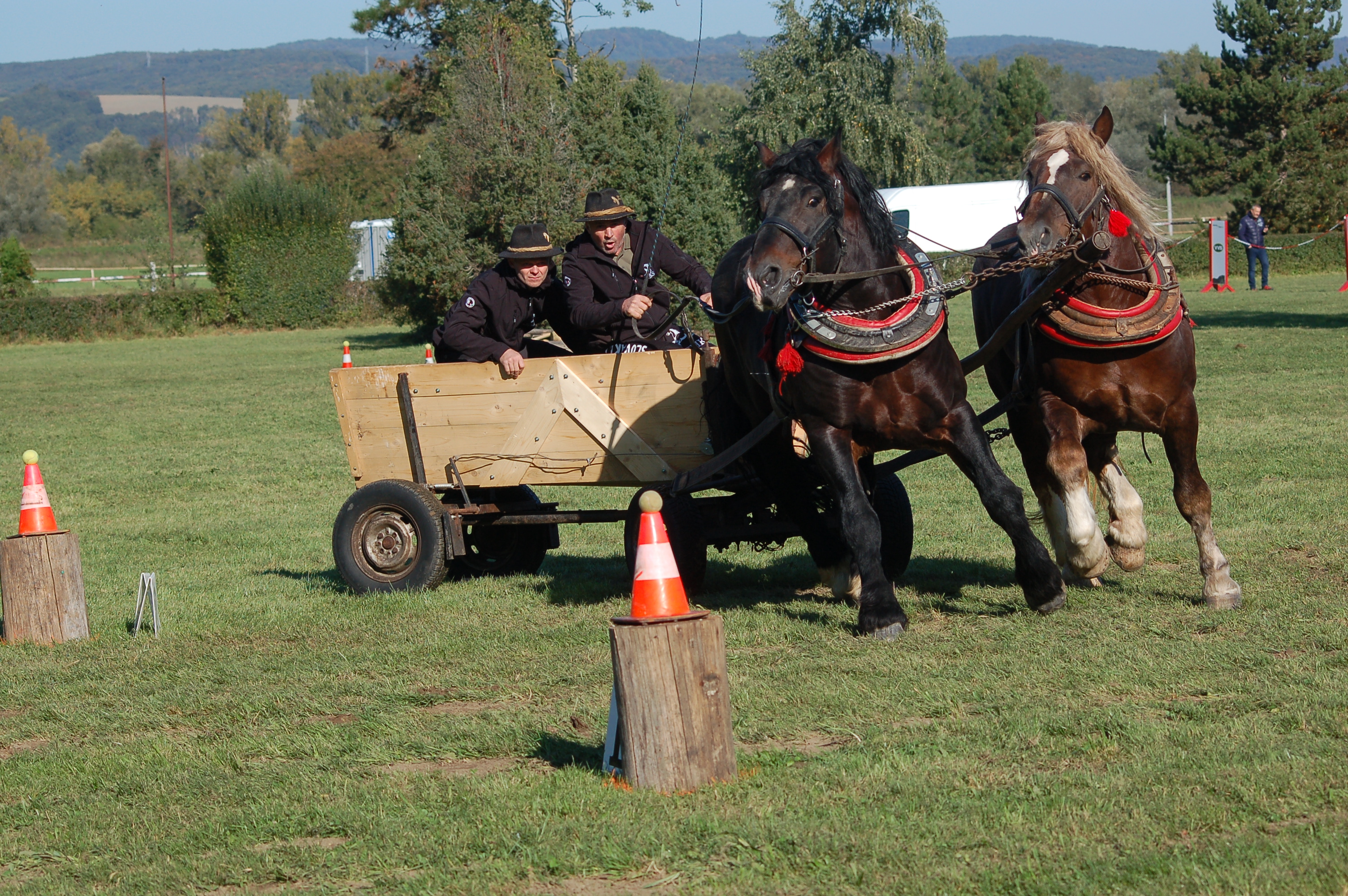 Dobrotka Ľuboš, Chrenovec - Brusno 423, 972 32