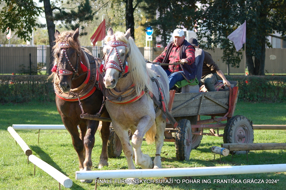 Balvan Štefan,Ďurďové 63, 018 22 Pružina