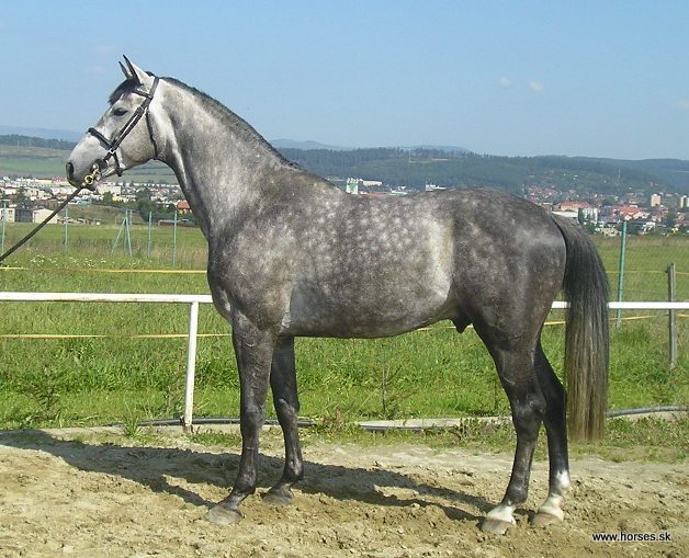 Calmato