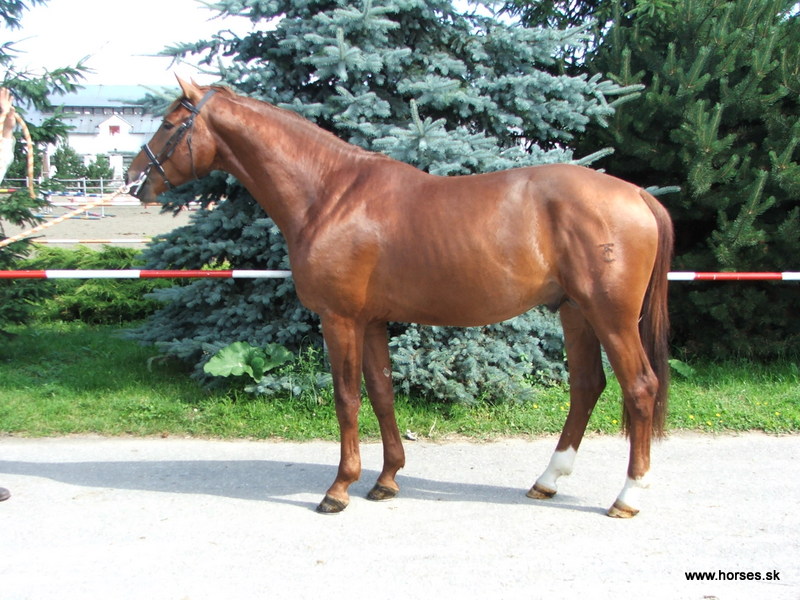 Finnegan C