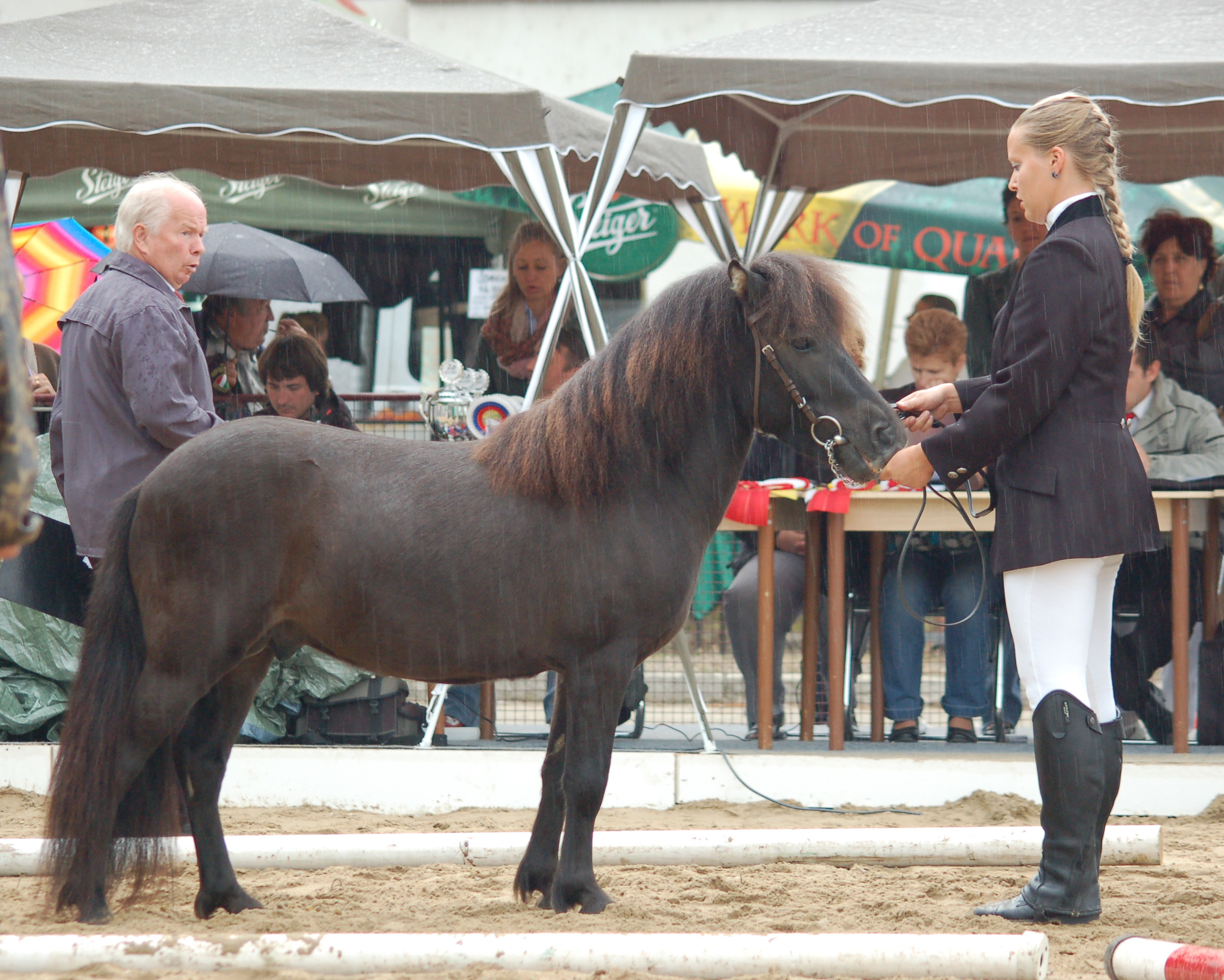 Christon v.t Woldzicht