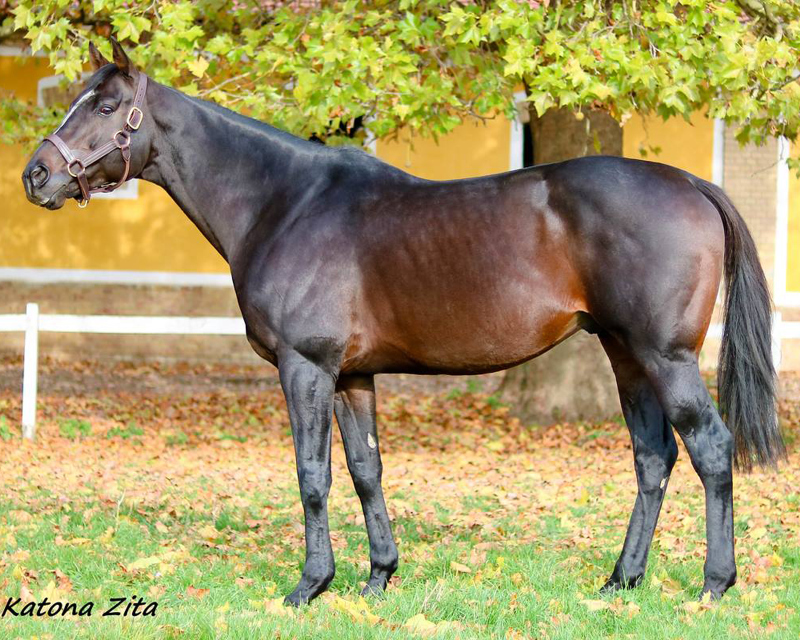 Move Your Vision (IRE)