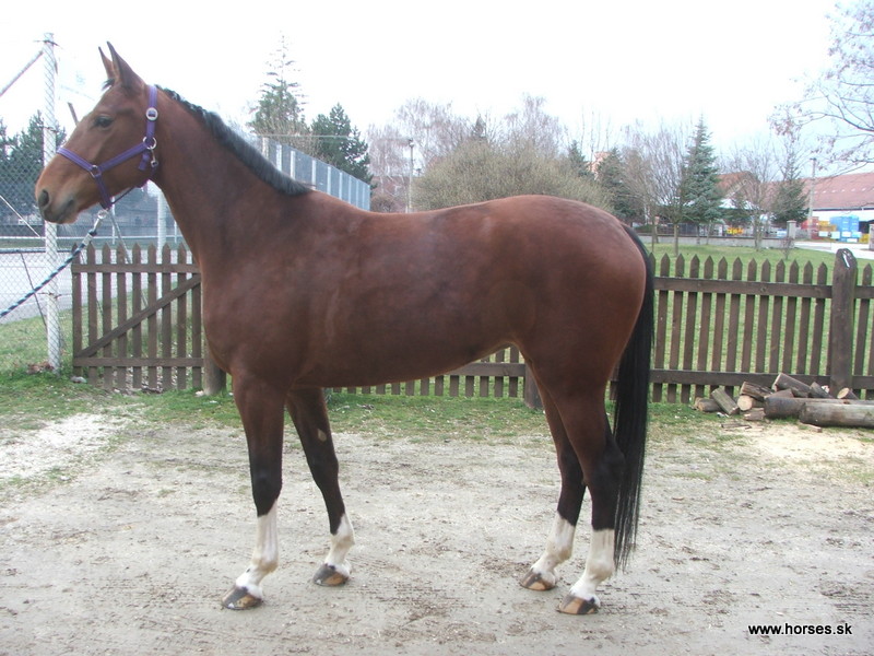Harmonie