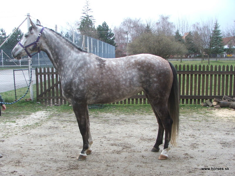 Calinesta /Deka