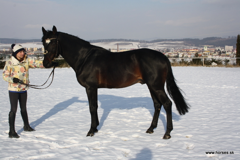 Zorm
