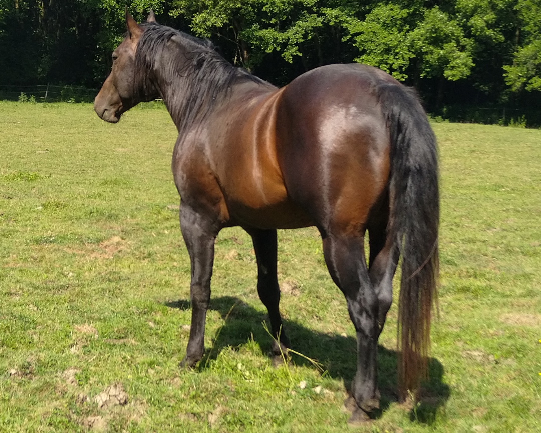 JM Hollywood Hancock