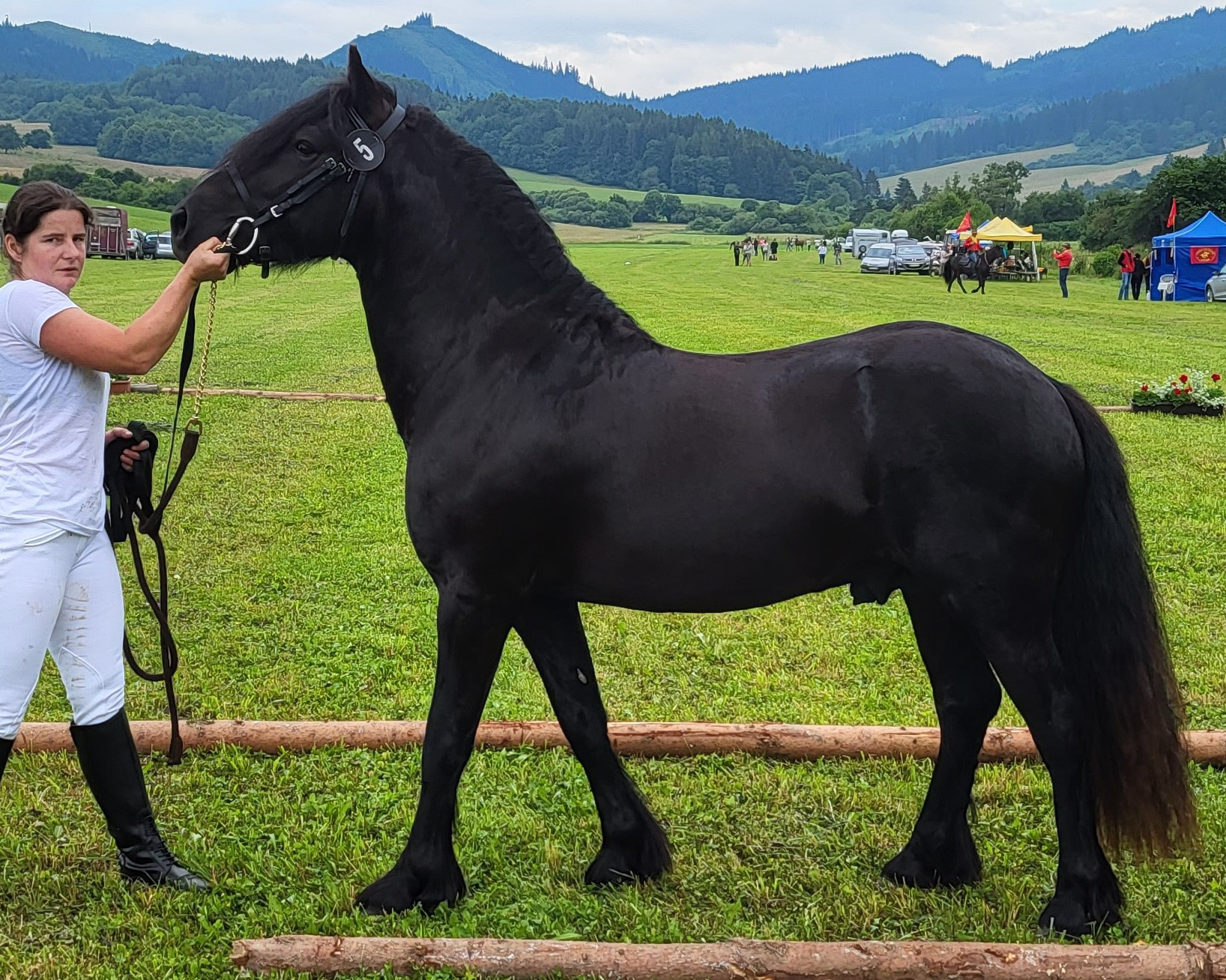 Goodshapes Rocket Man