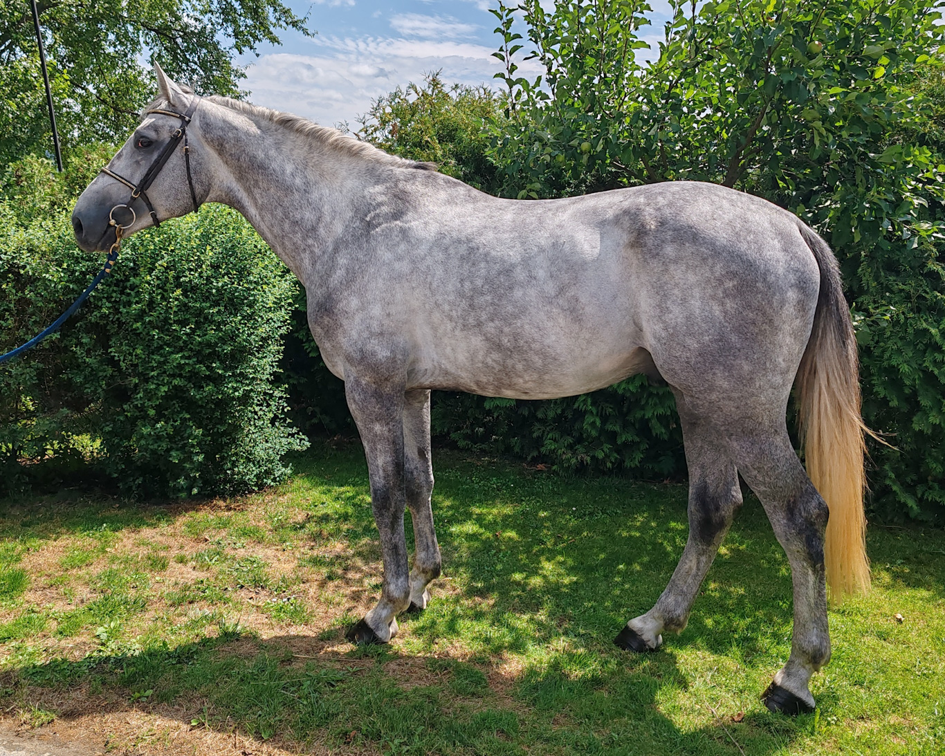 Conquest of Paradise Z